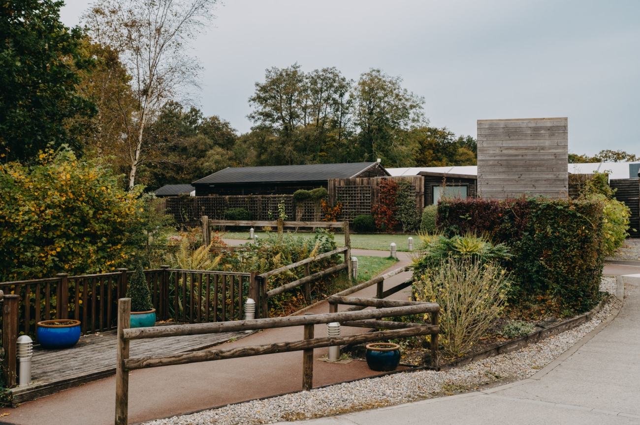 Pathway through the serene gardens at Llanerch Vineyard Hotel, a romantic vineyard wedding venue near Cardiff