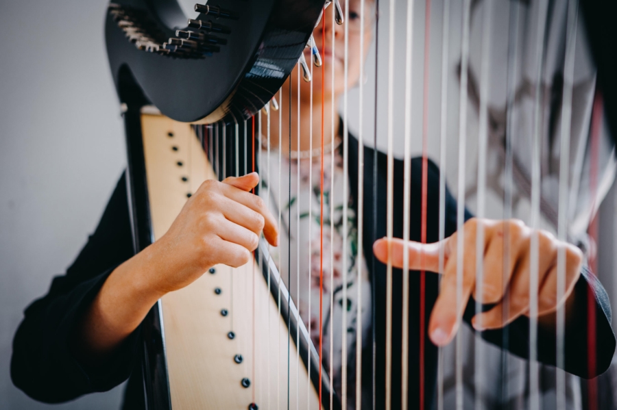 Micro wedding guide - harpist