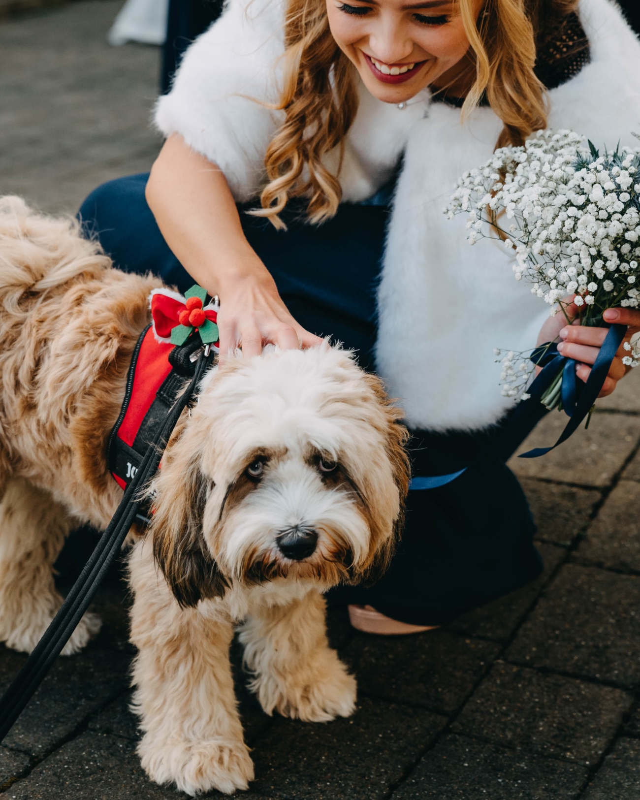 Bridesmaid petting the wedding dog after the ceremony in Myddfai – a candid and heartwarming moment