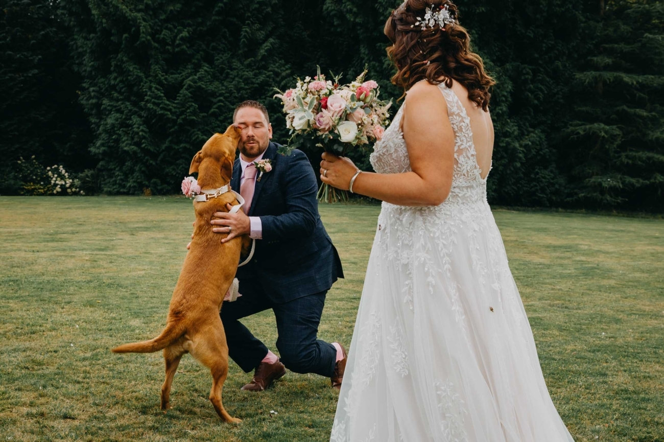 Candid wedding photography capturing a spontaneous moment with a dog at Pennard House in Somerset by a Bristol wedding photographer